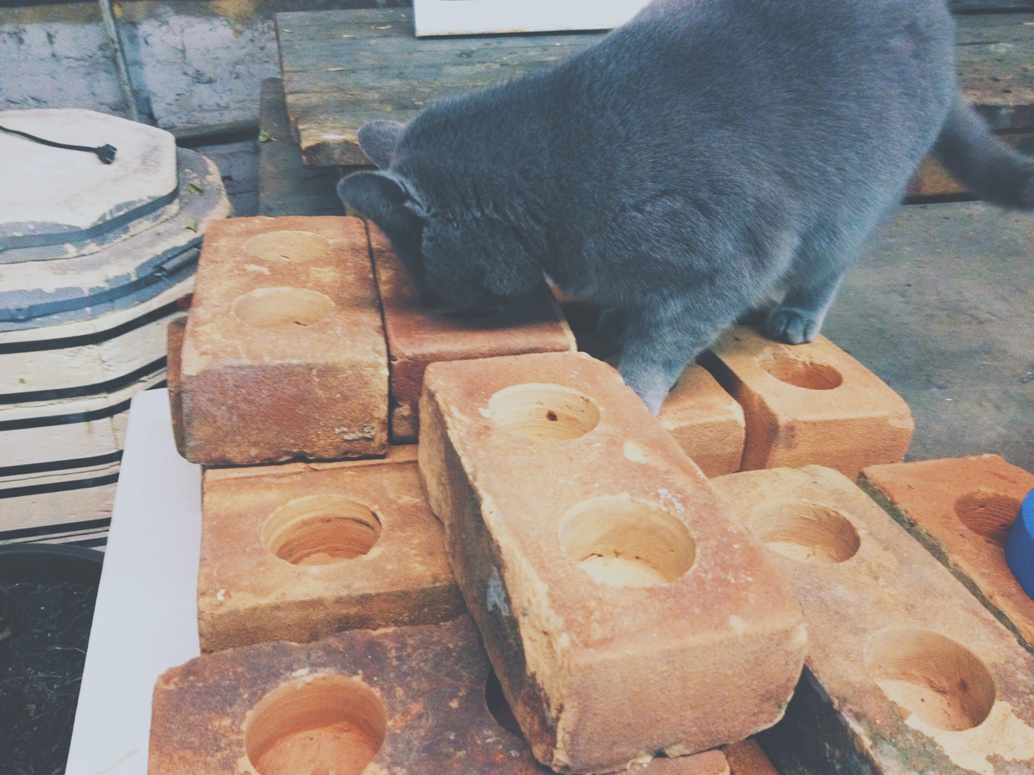 Brick X Brick
