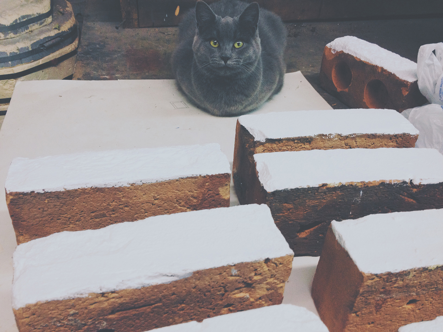 Brick X Brick