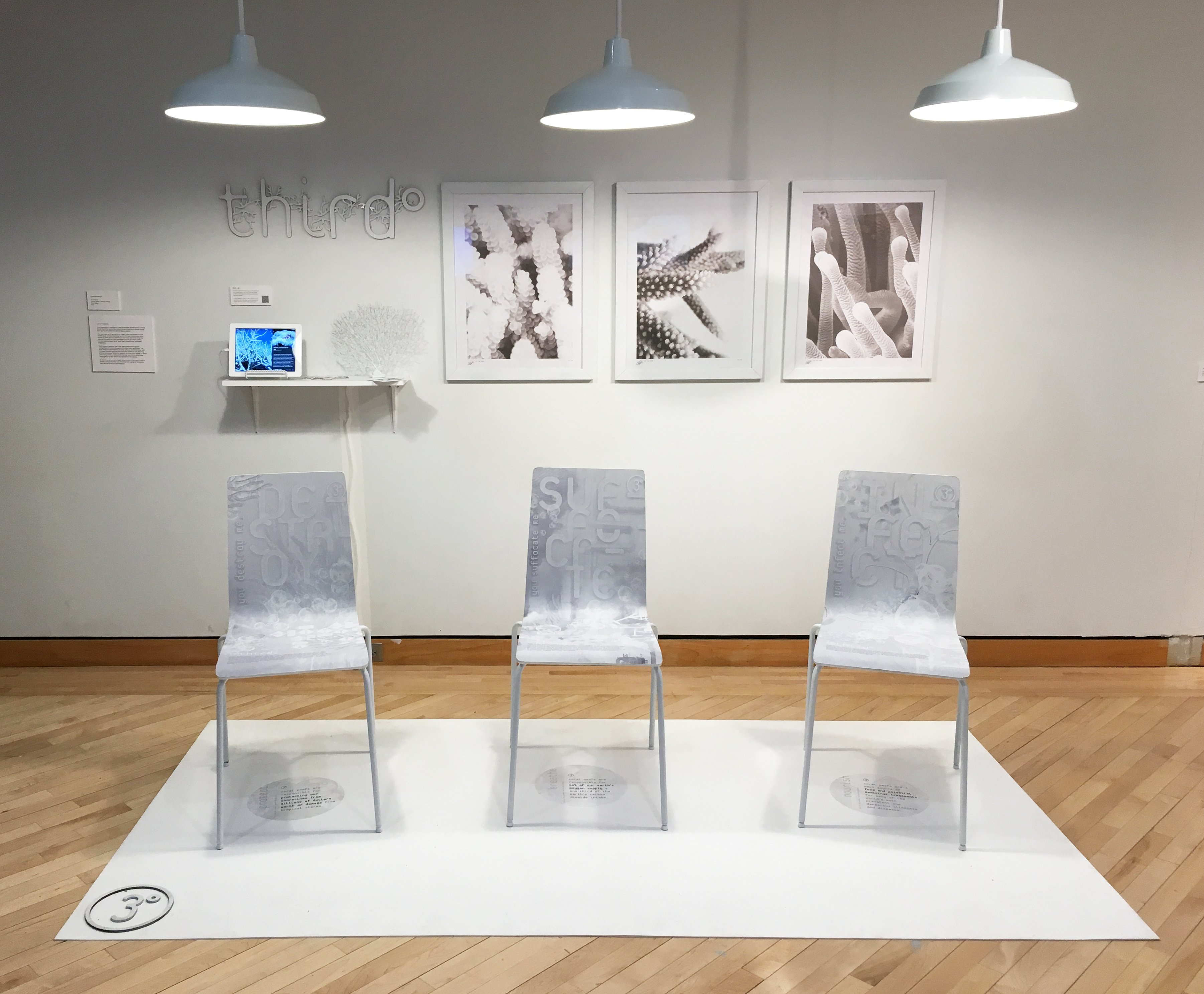 2019 BFA Senior Thesis Show