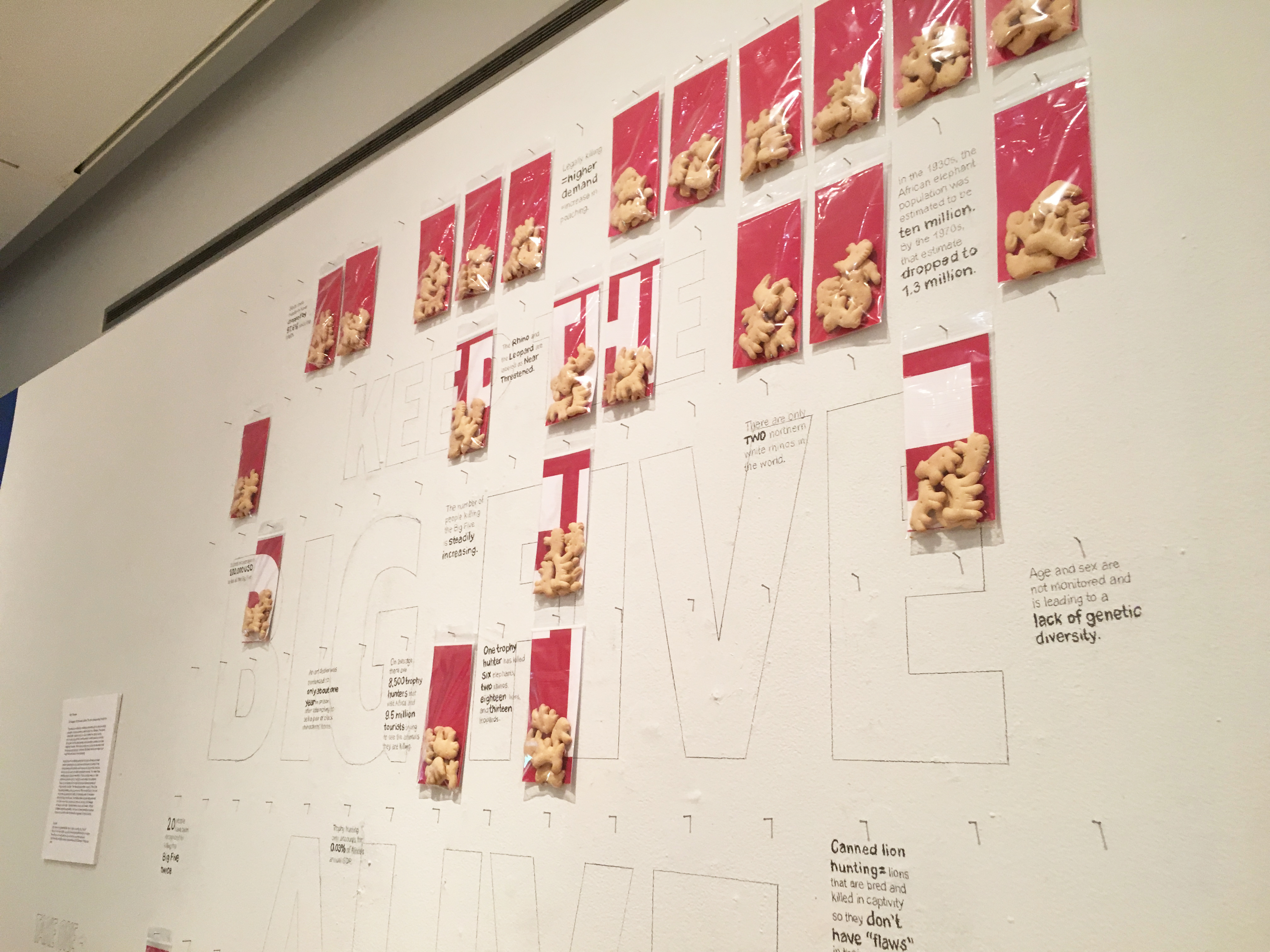 2019 BFA Senior Thesis Show