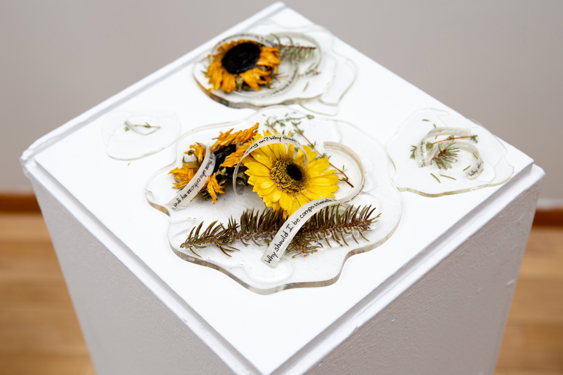2020 BFA Senior Thesis Show